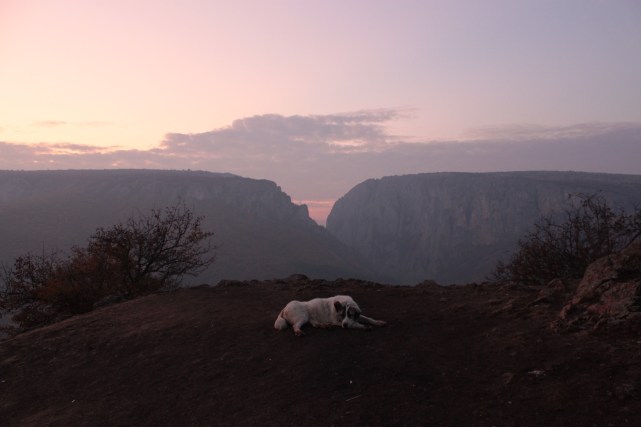 6331833260_590d3388fa_o